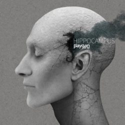Behrooz Paygan - Hippocampus