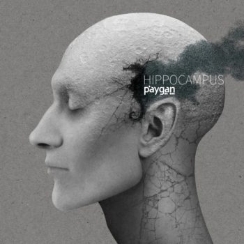 Behrooz Paygan - Hippocampus